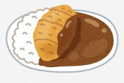 【困惑】日本人「カツカレーなのにカツが入ってないじゃん！！」世界「ｗｗｗ」