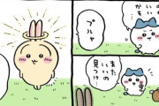 【悲報】ちいかわ、不穏ｗｗｗｗｗ