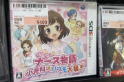 【画像】3DSのクッソエロそうなゲーム売ってたんやが