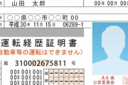 加山雄三さんが免許返納　「テレビゲームで衰えを実感した」