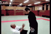 【gif】空手や総合格闘が最強とか抜かしてたアホさぁ、これ見ても同じこと言える？