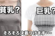 【画像】巨〇ブスVS貧〇美人とかいう議論ｗｗｗｗｗｗ
