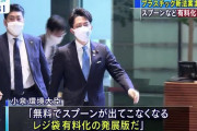 小泉環境大臣「これからはコンビニでカレーを買っても無料のスプーンは出て来ない」
