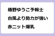 椿野ゆうこ予報士　台風より勢力が強い赤ニット爆乳