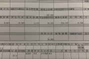 【画像】これが社畜の給与明細、日本終わってたｗｗ