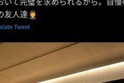 【画像】まんさん「批判覚悟で言うとヨーロッパの社交界に参加できる日本の男性は本当に少ないの。」
