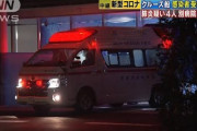 【コロナやばい】無症状のクルーズ乗客4人 岡崎の病院についたらいきなり肺炎で草生えるわwwwwwwwwwwwww