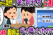 義姉から突然「弟と別れろ！」とのLINEが→しかし、その時義姉は私と一緒にいたので…偽義姉を義姉が相手にした結果w【2chスカッと】
