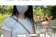 【画像】女Youtuberさん、ノーブラお散歩配信で200万再生余裕ｗｗｗ