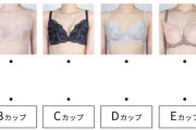 【緊急】お前らにクイズ　Ｅカップお乳はどれでしょう？！
