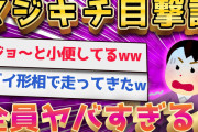 【2ch面白いスレ】ねらーは見た！ ヤバすぎる狂人・変態集www【ゆっくり解説】