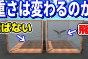 【画像】この問題解ける奴いたら答え教えてくれ 、未だにわからない