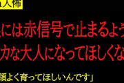 【2chヒトコワ】ママ友の子は車もないのに赤信号でしっかり止まってたけど、ああなって欲しくないというスレ主。