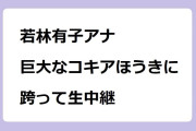 若林有子アナ　巨大なコキアほうきに跨ってマザー牧場から生中継