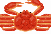 【緊急】このカニの食い方を教えてほしいｗｗｗｗｗｗｗｗｗｗ