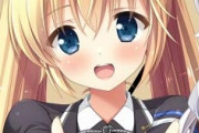 ｴﾛｹﾞーマーの2割以上は姉キャラとか妹キャラをみると当然のように攻略キャラだと思ってるけど