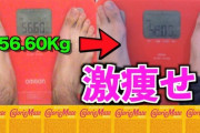 【悲報】ワイデブ、カロリーメイトをダイエット食品だと勘違いしてしまい無事太る
