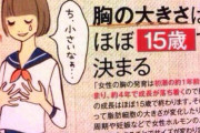 【画像】貧乳女の子１５歳..ｗｗｗｗｗｗｗｗｗｗｗｗｗｗｗ