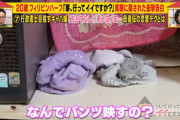 【悲報】地上波で染み付きパンツが映るww