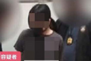 【画像】ルフィ盗賊団の逮捕された女(27)、可愛いしお〇ぱい大きくてこれはナミｗｗｗｗｗｗ