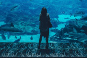 【画像】水族館トイレ丸見えｗｗｗｗｗ