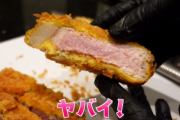 【悲報】ヒカキンさんレアすぎるトンカツを作ってしまい無事炎上