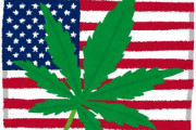 【悲報】アメリカさん、大麻の市場規模が９兆円にｗｗｗｗｗｗｗｗｗｗｗｗ