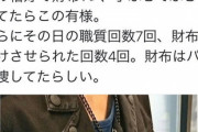 【画像】陽、秋葉原で警察からオタク狩りに間違えられる