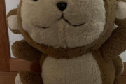 【画像】このぬいぐるみ知ってるやつおらんか？ｗｗｗ