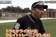 イチロー「筋トレは絶対やっちゃダメ笑　サバンナのライオンが筋トレすると思います？笑」