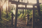 私が体験した不思議な話『山奥の鳥居』