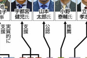 【画像】都知事選の立候補者、ロクなやつがいないwwwwwwwwwww