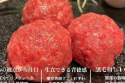 【画像】「真っ赤な半生の生バーグ」が流行中ｗｗｗｗｗｗｗ