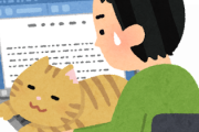 【朗報】ついに『キーボード猫のり問題』が解決する
