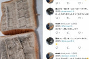 【画像】性癖が「タイヤ」のやべー奴、見つかるｗｗｗｗ