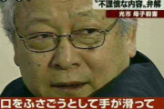【閲覧注意】少年「殺人、強姦、屍姦したけどドラえもんがなんとかしてくれると思った。」