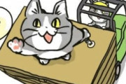 【画像】100日後に死ぬ現場猫