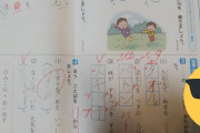 【画像】小学2年生のテストでとんでもなく厳しくしてる良い先生がいると話題に