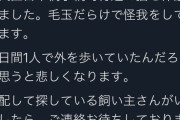 【悲報】ブッサイクなネッコ、飼い主に捨てられる