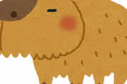 彡(^)(^)「カピバラ飼い始めたで！可愛すぎるやろ」（画像あり）