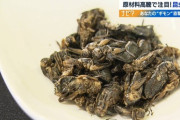 【画像】昆虫食推進派「味も見た目も普通ですよ！」ワイ「ほーん」
