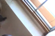 ☆裏裏天国☆の裏垢動画・変態願望を持つ本物素人妻さんとハメ撮り　身バレ防止のため顔モザ出演です旦那とセックスレスになっている人妻さん。ただ、...