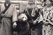 【悲報】アイヌ人さん、ヒグマを普通にペットとして飼い慣らしてしまうｗｗｗｗ