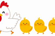 【素朴な疑問】卵の黄身ってヒヨコなの？？？？？？