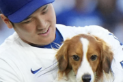 【画像】大谷翔平さん、愛犬からガチで好かれてない模様【画像あり】