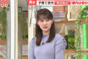 【画像】超絶美少女アナウンサーの体がエッチすぎる