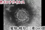【新型コロナウイルス】政府発表　スポーツ・文化イベント2週間自粛要請！！