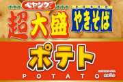 【画像】ペヤング、調子に乗ってまたまずそうなペヤングを発売