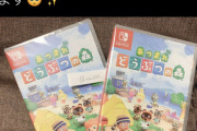 【悲報】あつまれどうぶつの森のカセットフラゲした人がツイートして炎上