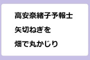 高安奈緒子予報士　甘みたっぷり矢切ねぎを畑で丸かじり